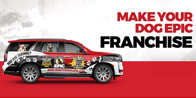 Make Your Dog Epic Slider-2