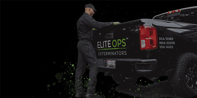 Elite Ops Exterminators Slider-6