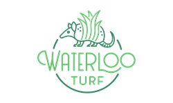 Waterloo Turf Waterloo Turf