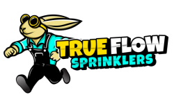 Franchise Opportunity Franchise Opportunity