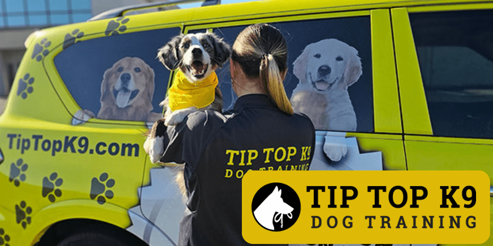 Tip Top K9 Dog Training width=