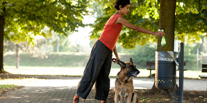 Cooper's Scoopers - Area Representative Slider-3