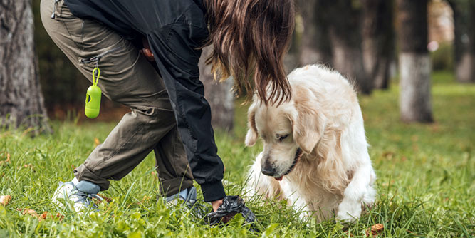 Cooper's Scoopers - Area Representative Slider-5