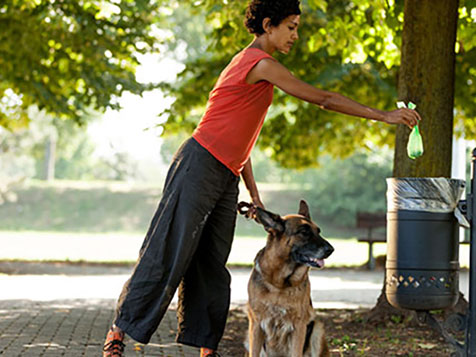 Cooper's Scoopers - Area Representative Cooper's Scoopers - Area Representative Slider 2