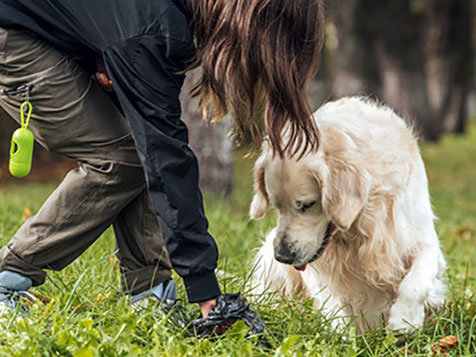 Cooper's Scoopers - Area Representative Cooper's Scoopers - Area Representative Slider 4
