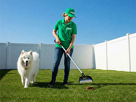 Cooper's Scoopers - Area Representative Cooper's Scoopers - Area Representative Slider 6