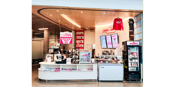 Millie's Homemade Ice Cream Slider-7