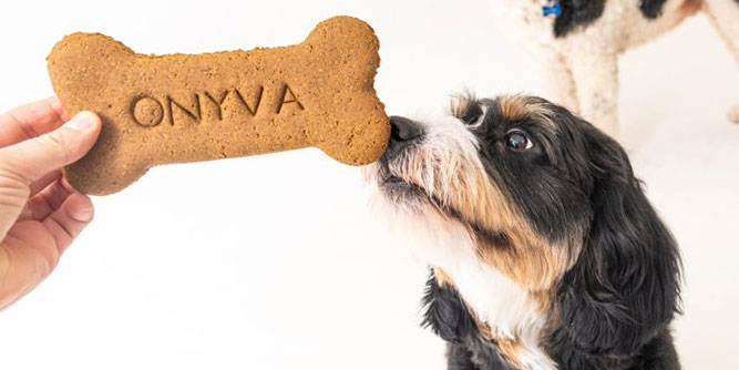 Onyva Dog Spa Slider-5