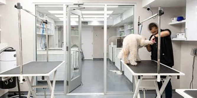 Onyva Dog Spa Slider-6
