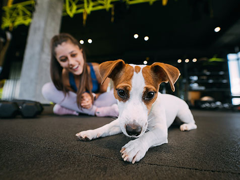 Business Ownership Advisors Business Ownership Advisors Slider 2