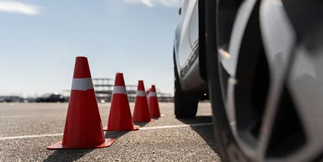 Jungle Driving School Slider-5