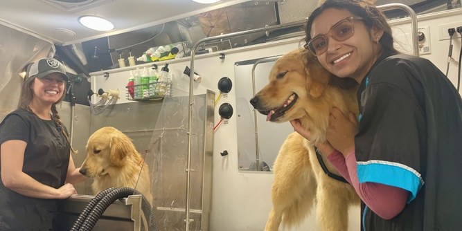 Fluffy Pet Wash Slider-7