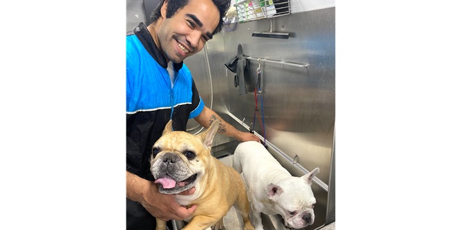 Fluffy Pet Wash Slider-7