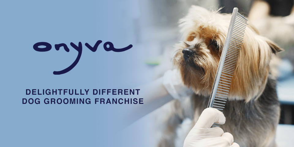 Onyva Dog Spa width=