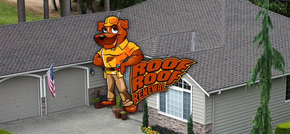 Roof Roof Renewal width=