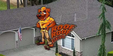 Roof Roof Renewal