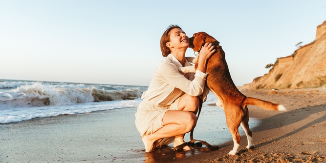 Lifeologie Counseling Slider-4