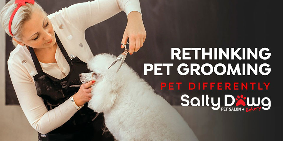 Salty Dawg Pet Salon + Bakery width=