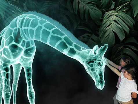 Hologram Zoo – High Tech Hologram Entertainment Center Hologram Zoo – High Tech Hologram Entertainment Center Slider 3