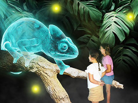 Hologram Zoo – High Tech Hologram Entertainment Center Slider 4