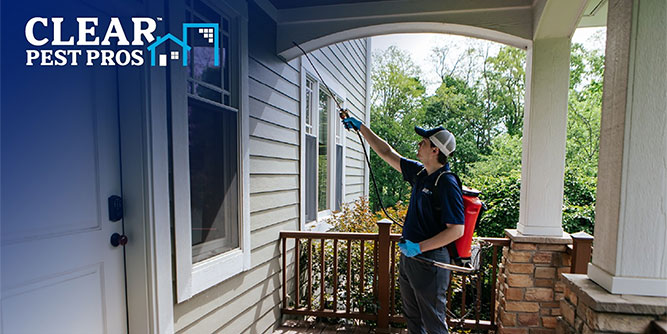 Clear Pest Pros Slider-2