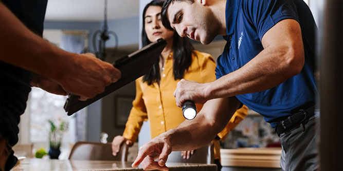 Clear Pest Pros Slider-5