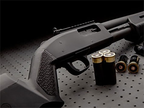 Flip Ammo Slider 4