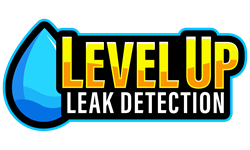 Level Up Leak Detection Level Up Leak Detection