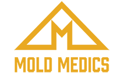 Mold Medics Franchise Opportunity