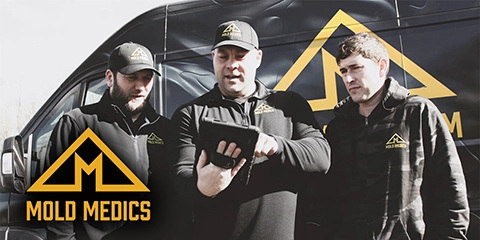 Mold Medics