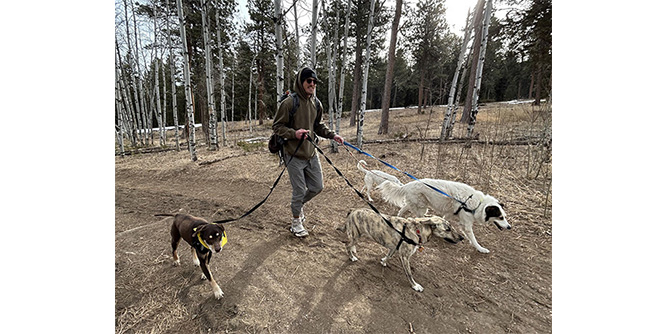 Hike Doggie Slider-6