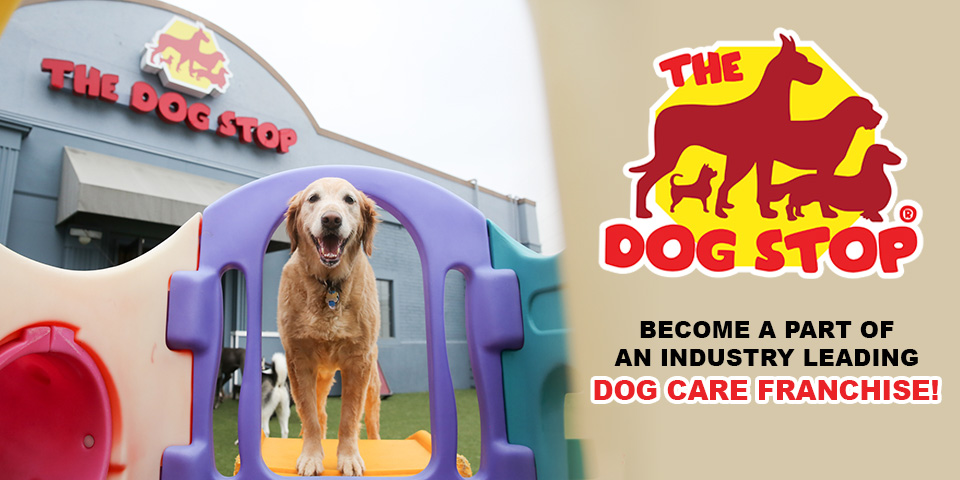 The Dog Stop