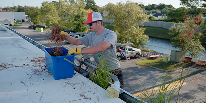 Window Ninjas Slider-5