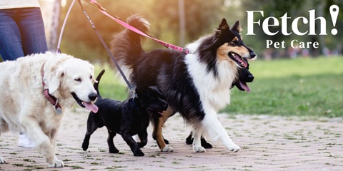 Fetch! Pet Care
