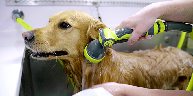 Bark & Mane Mobile Pet Grooming Slider-2