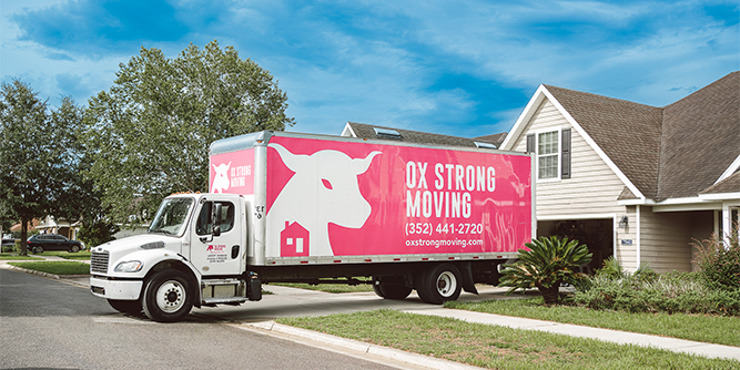 Ox Strong Moving Slider-3