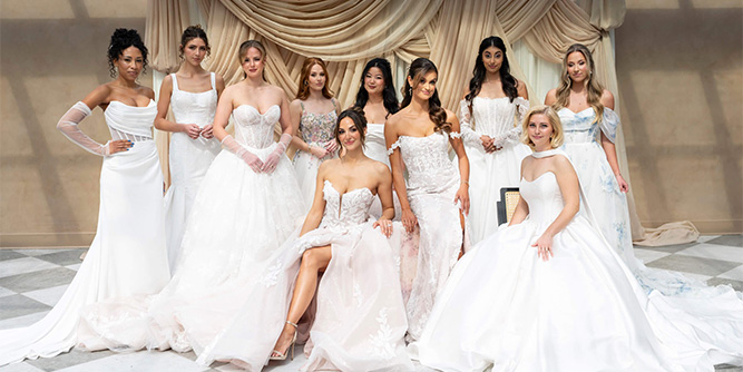 Beheld Beauty Collective Slider-1