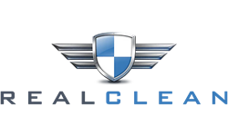 RealClean Aircraft Detailing
