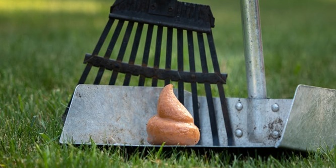 Poop Away Slider-5
