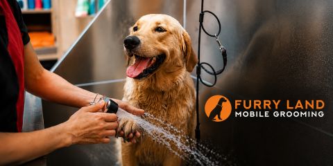 Furry Land Mobile Grooming