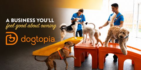 Dogtopia
