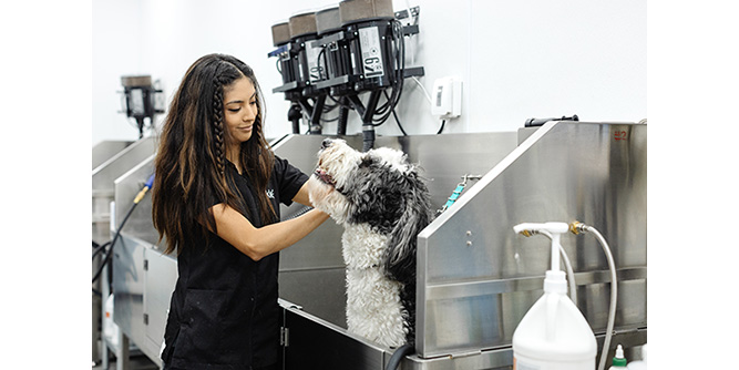Sparkle Grooming Co. Slider-1