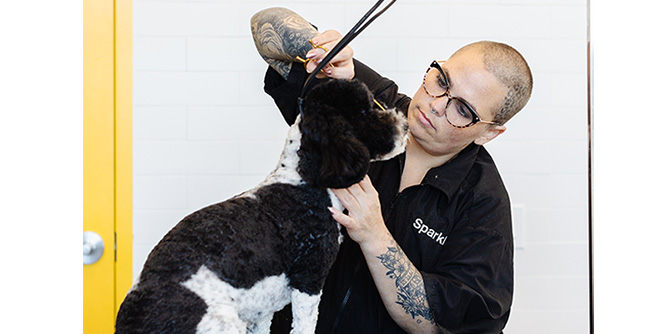 Sparkle Grooming Co. Slider-2