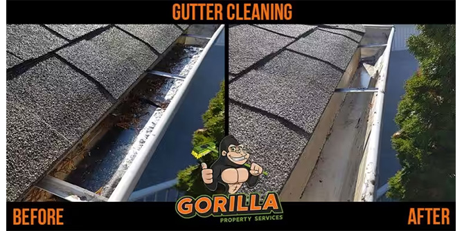 Gorilla Property Services Slider-2