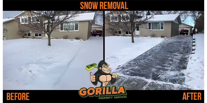 Gorilla Property Services Slider-7