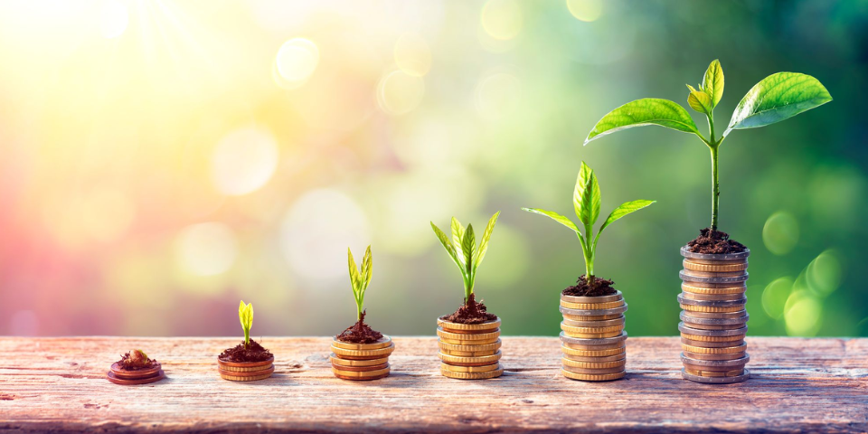 Estimating Initial Investment Costs for a Franchise