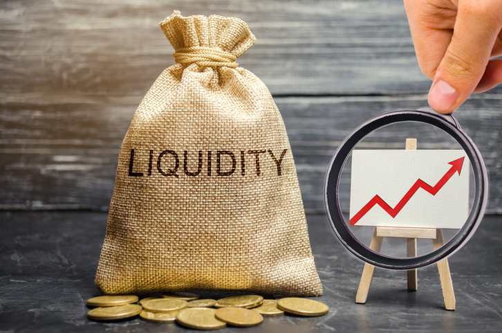 Net Worth and Liquid Capital: Building Your Franchise Investment